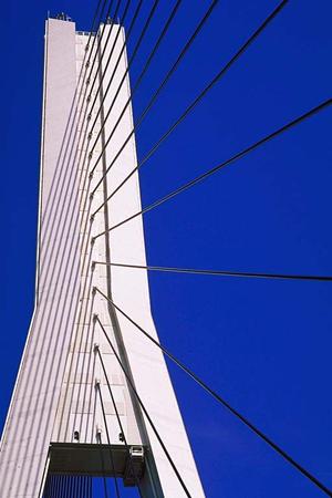 家族向けの理想の住まいを見つける！LIXIL不動産ショップの賢い利用法と物件選びのポイント