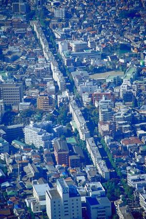 不動産売却に関する多様なニーズに対応