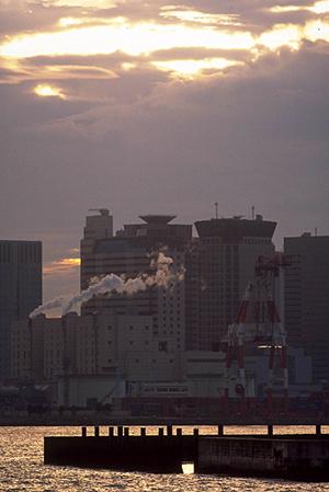 大阪で叶える中古マンションのクロス張替え：失敗しないポイントとお得な施工事例
