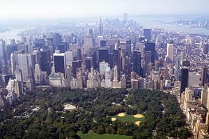 新潟県の不動産物件の紹介をしている企業について