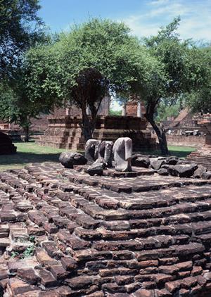 省エネ計算を依頼することになったら