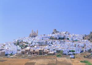 「仙台市青葉区の理想的な住まいを見つける方法を徹底解説！新築一戸建てからリフォーム物件までご紹介」